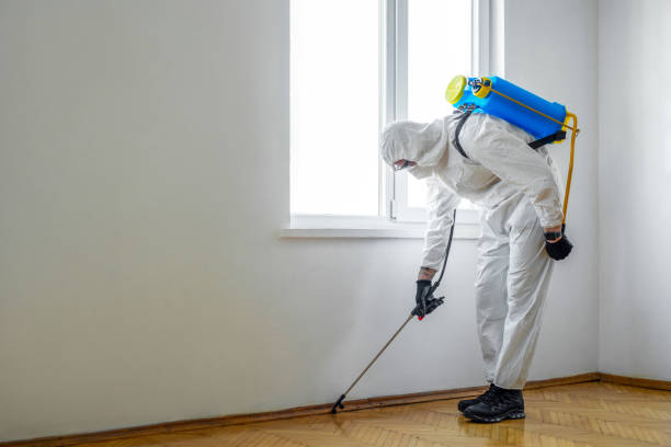 Real Estate Pest Inspections in Granger, TX